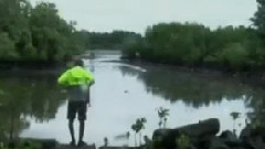 丛林的法则 预告