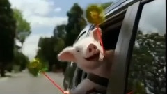 Taylor Swift - We Are Never Ever Getting Back