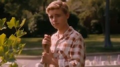 Wouldn't Change A Thing