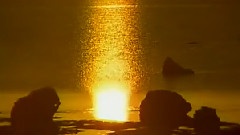 Mysterious Encounter