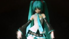 里表情人 & StargazeR