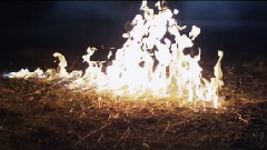 Fall Out Boy - My Songs Know What You Did In The Dark