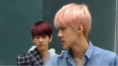 灿白勋鹿Secretxo