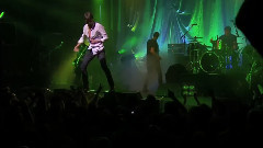 Suede - WE ARE THE PIGS