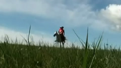 一曲相送 饭制版