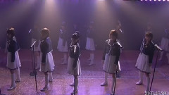 桜の花びらたち