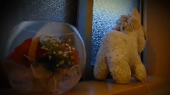 Nico - 造花の距離感