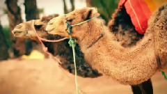 Don´t Give It Up (Moving On Up)