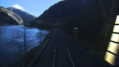 All Your Love Is Gone