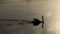 Stamatis Spanoudakis,轻音乐 - A Piece Of My Soul