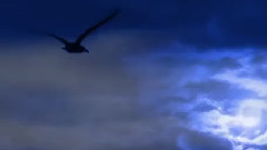 Stamatis Spanoudakis - Here We Go Again