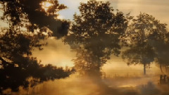 Stamatis Spanoudakis,轻音乐 - All In A Journey