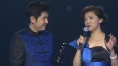 民乐群星 - 太极琴侠