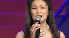 范琳琳 - 篱笆墙的影子