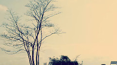 Nico - ピアノ・レッスン (雪見xまちすけ)