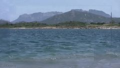 风景 - Song For Alannah