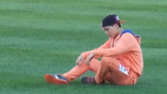 熊熊犯困乱揪草