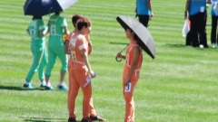 打伞在草地上交谈