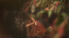 Morning Parade - Alienation