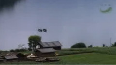 民乐群星,音乐短片,李春华 - 花楼恋歌 葫芦丝独奏