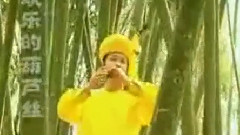 民乐群星,李春华 - 竹林深处 葫芦丝独奏