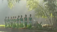 李春华 - 葫芦丝的传说