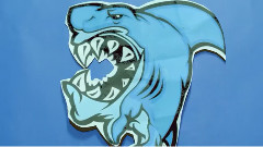 Crucial Star - Louie