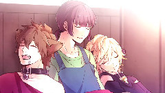 Nico - 神のまにまに (犬猫店長)