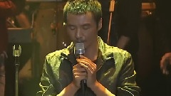 朴树 - 那些花儿