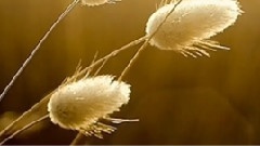 Giovanni Marradi - Mysteries