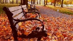 Giovanni Marradi - Beatrix Sipos