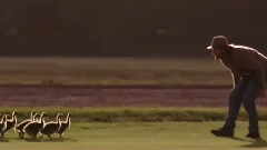 Joseph Mcmanners - In Dreams