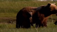 Giovanni Marradi - This Little Big Love