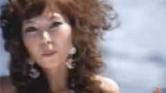 乌龟组合 - 飞机