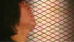 郑伊健 - 情与义