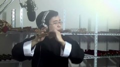 民乐群星 - 卷珠帘