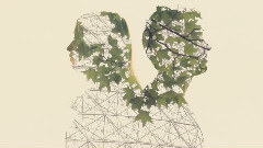 The Peach Kings - Be Around