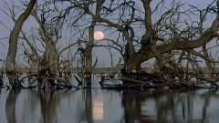 Manic Street Preachers - Australia