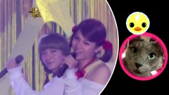 希范喵和朴小鸭来祝中秋