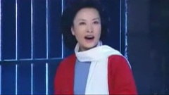 彭丽媛 - 五洲人民齐欢笑