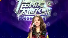 辛晓琪 - 深情难了