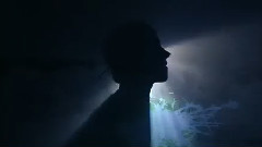 Only Seven Left - The Reason Why