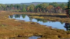 Stamatis Spanoudakis - Autumn Road