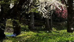 Giovanni Marradi - Do You Remember The Spring