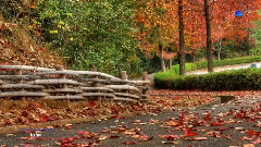 Stamatis Spanoudakis - Autumn Melancholy (Stamatis Spanoudakis Music)