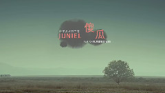 傻瓜 官方中文字幕