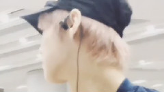 小鹿小鹿,鹿中的王子最可爱