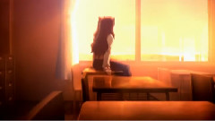 Fate Stay Night 绚烂的凛喵~