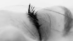 Enigma - Morphing Thru Time