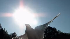 Michel Pépé,音乐短片 - La Caresse de l'Ange